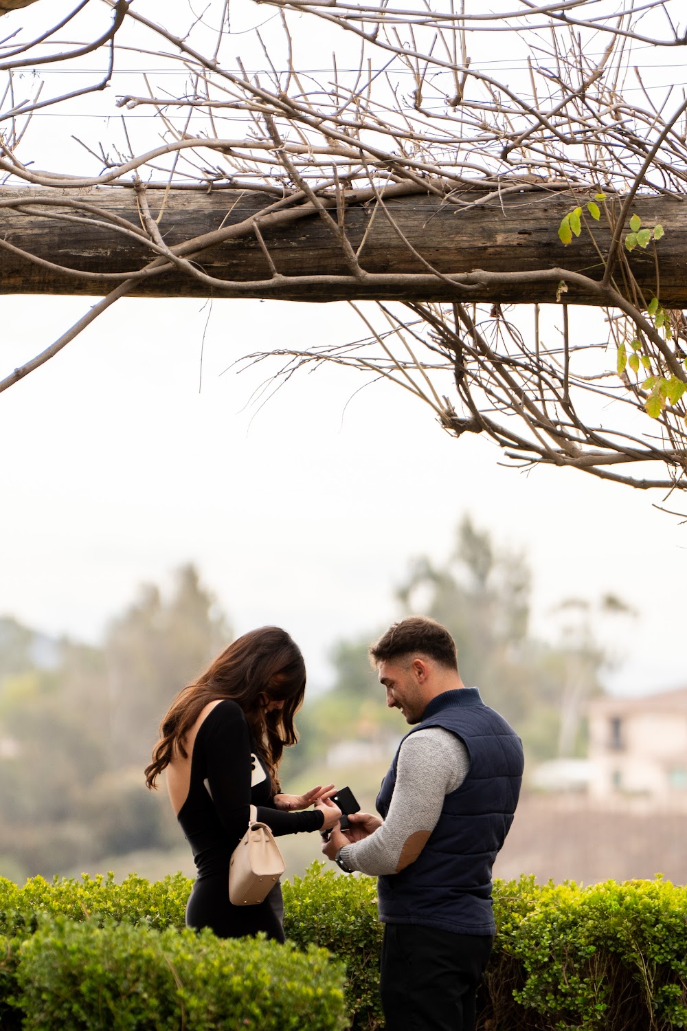 Rawad & Mia Proposal